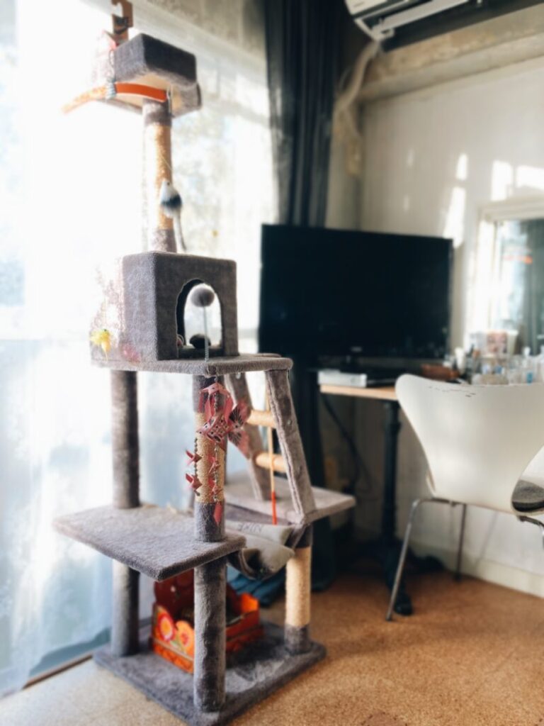 パリ風アパルトマンのリビングルームに置いたキャットタワー